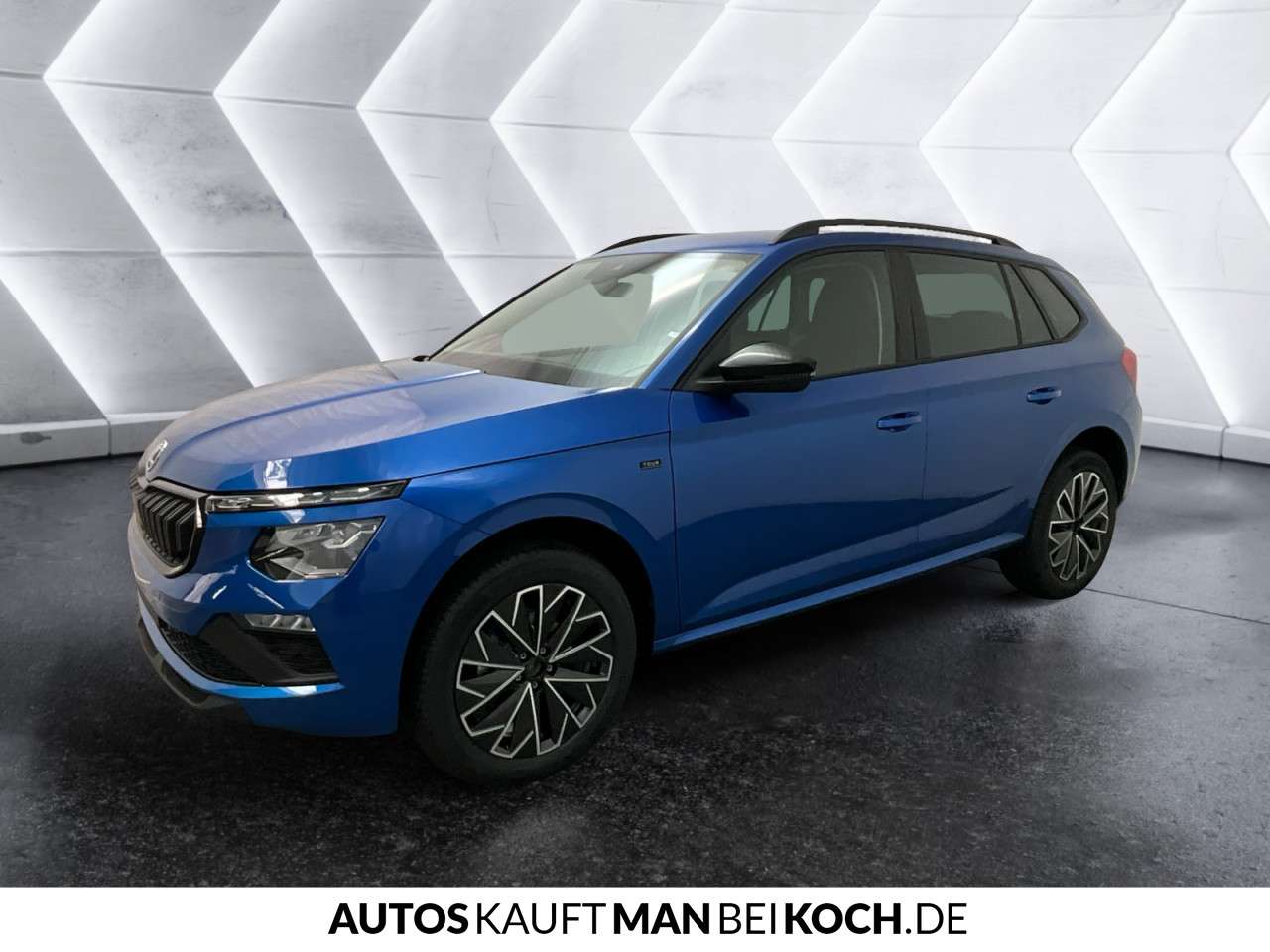 Fahrzeugbild eines Skoda Kamiq