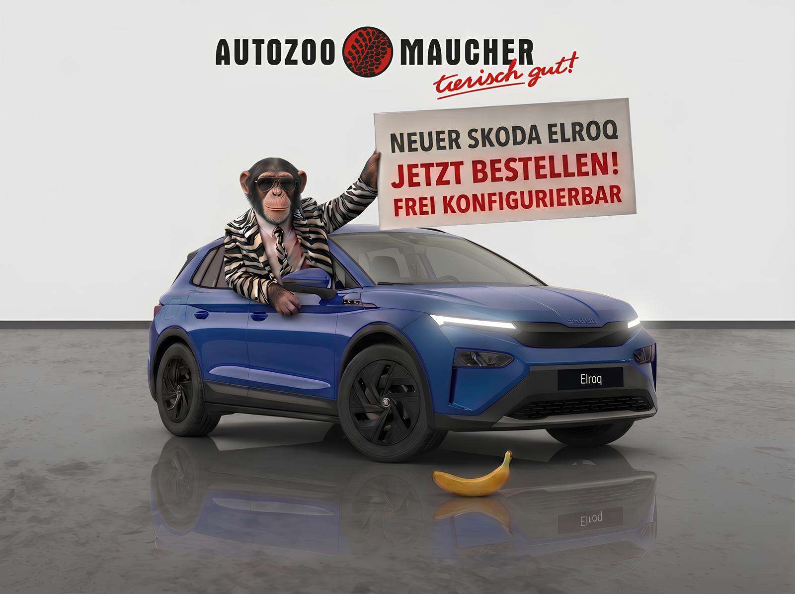 Fahrzeugbild eines Skoda ELROQ