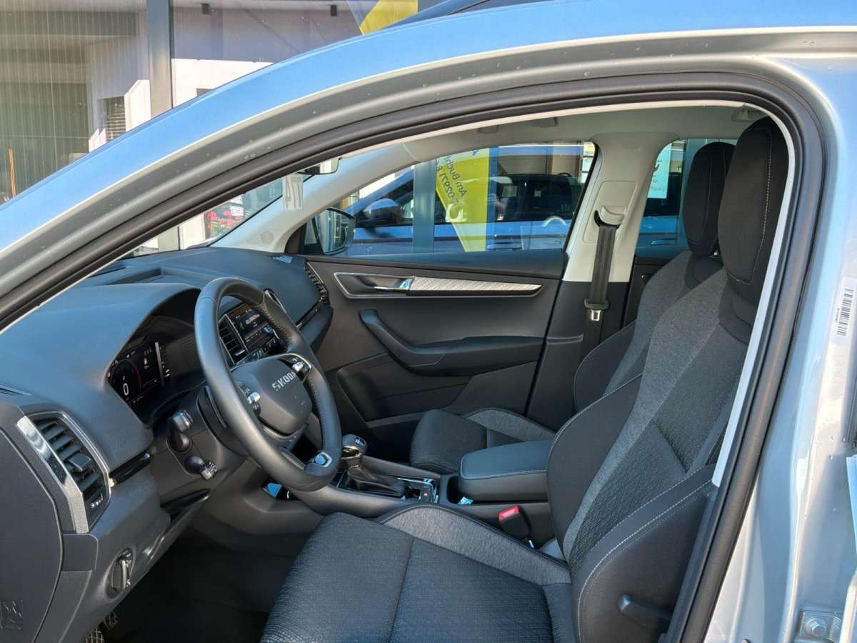 Fahrzeugbild eines Skoda Karoq