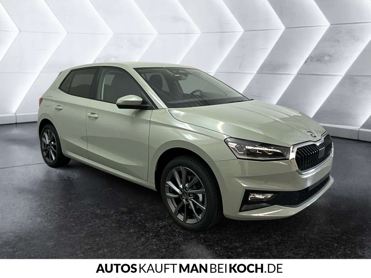 Fahrzeugbild eines Skoda Fabia