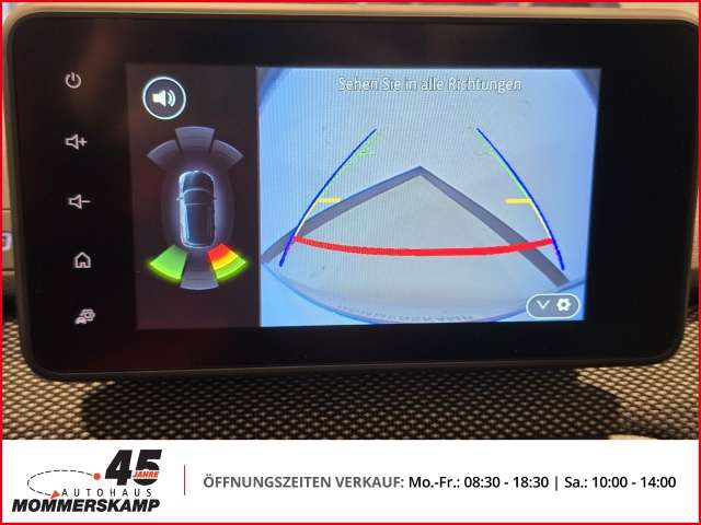 Fahrzeugbild eines Dacia Sandero