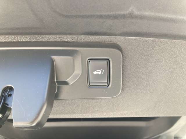 Fahrzeugbild eines Renault Rafale