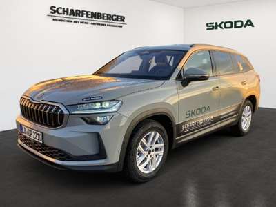 Bild Skoda Kodiaq