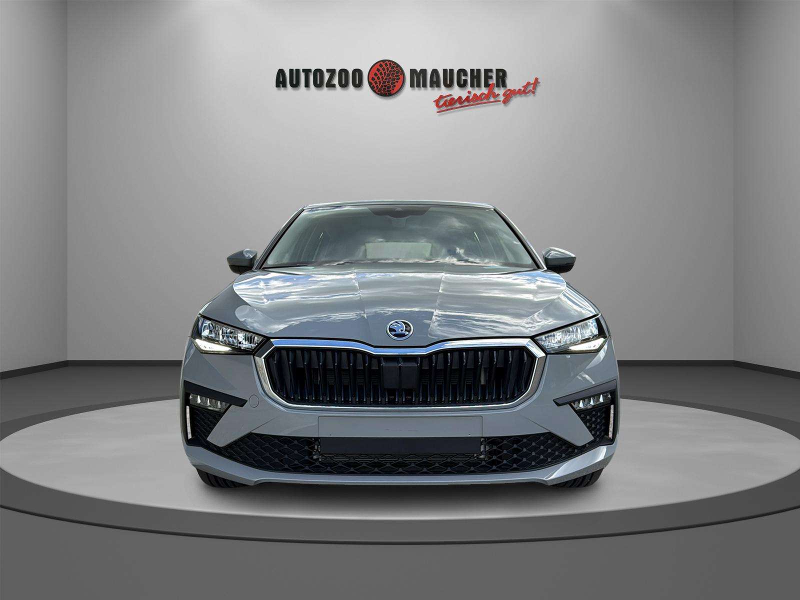 Fahrzeugbild eines Skoda Scala