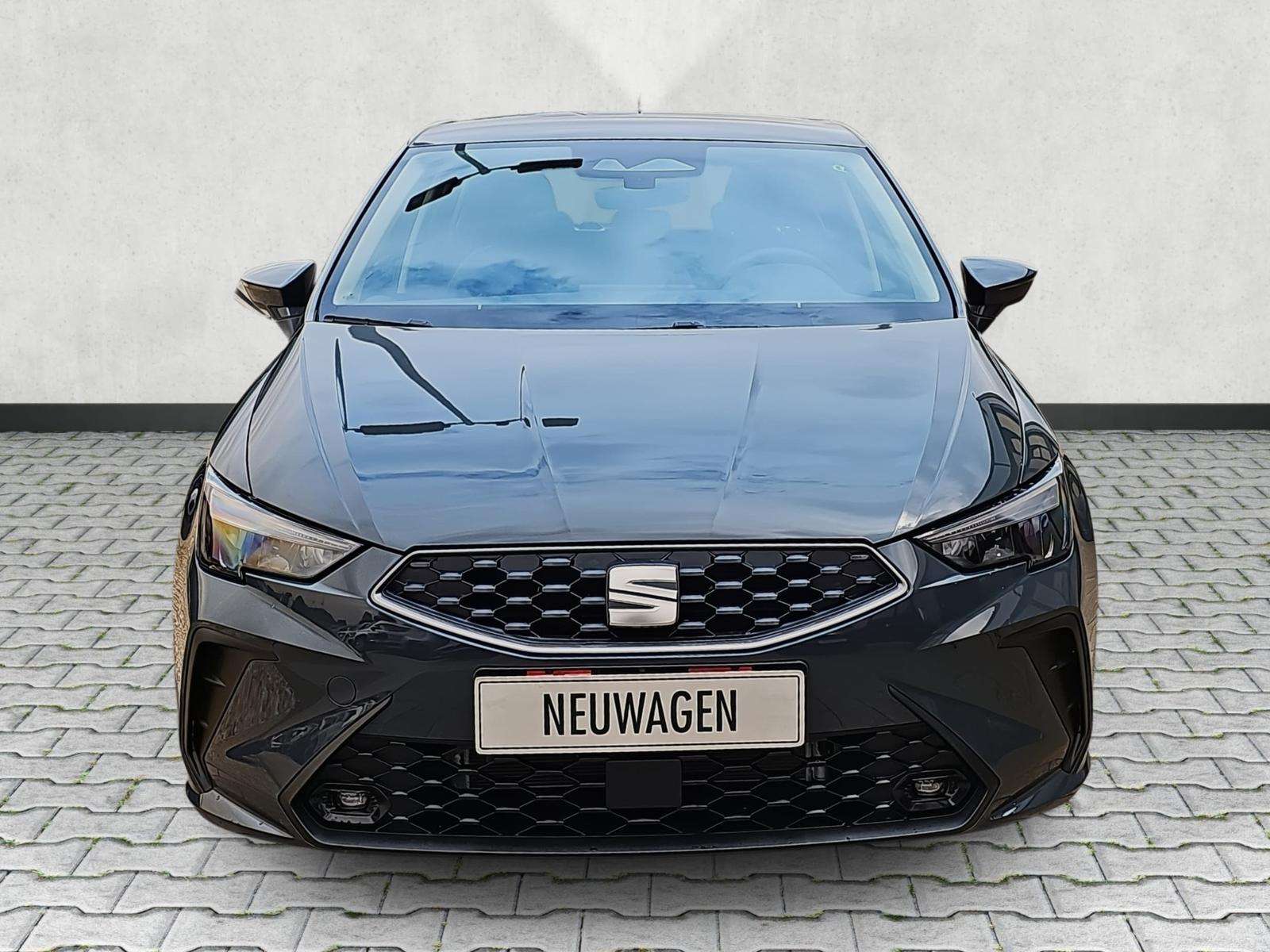 Fahrzeugbild eines SEAT Ibiza