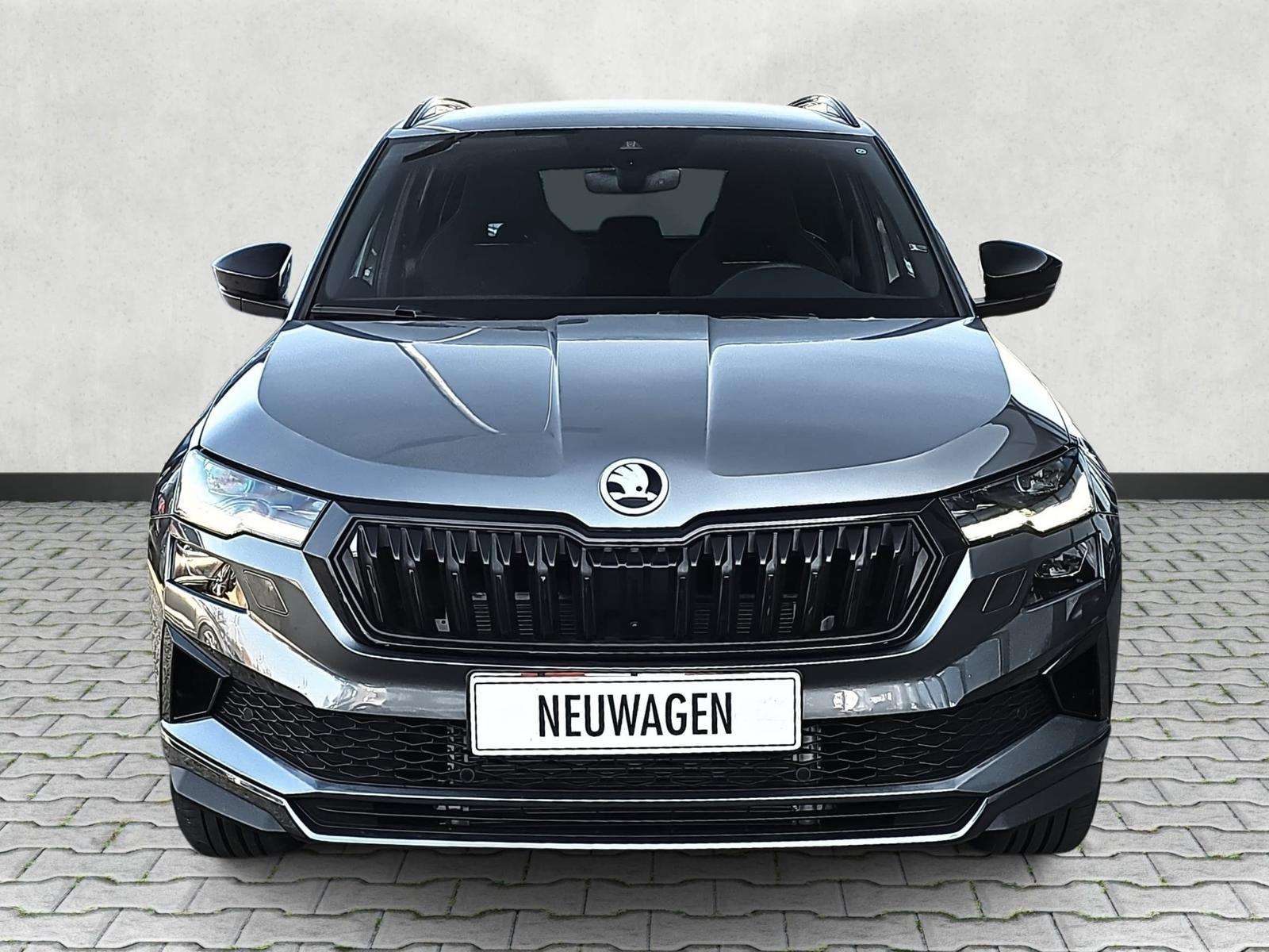 Fahrzeugbild eines Skoda Karoq