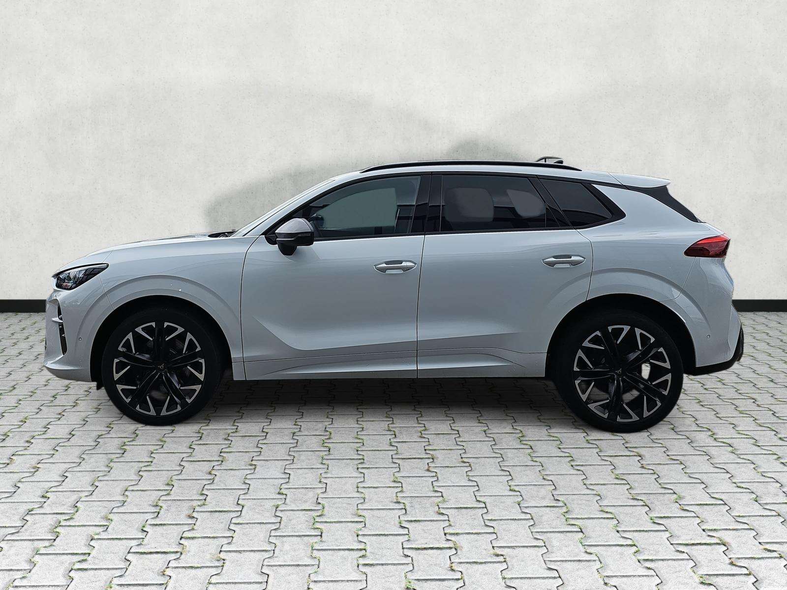 Fahrzeugbild eines CUPRA Terramar