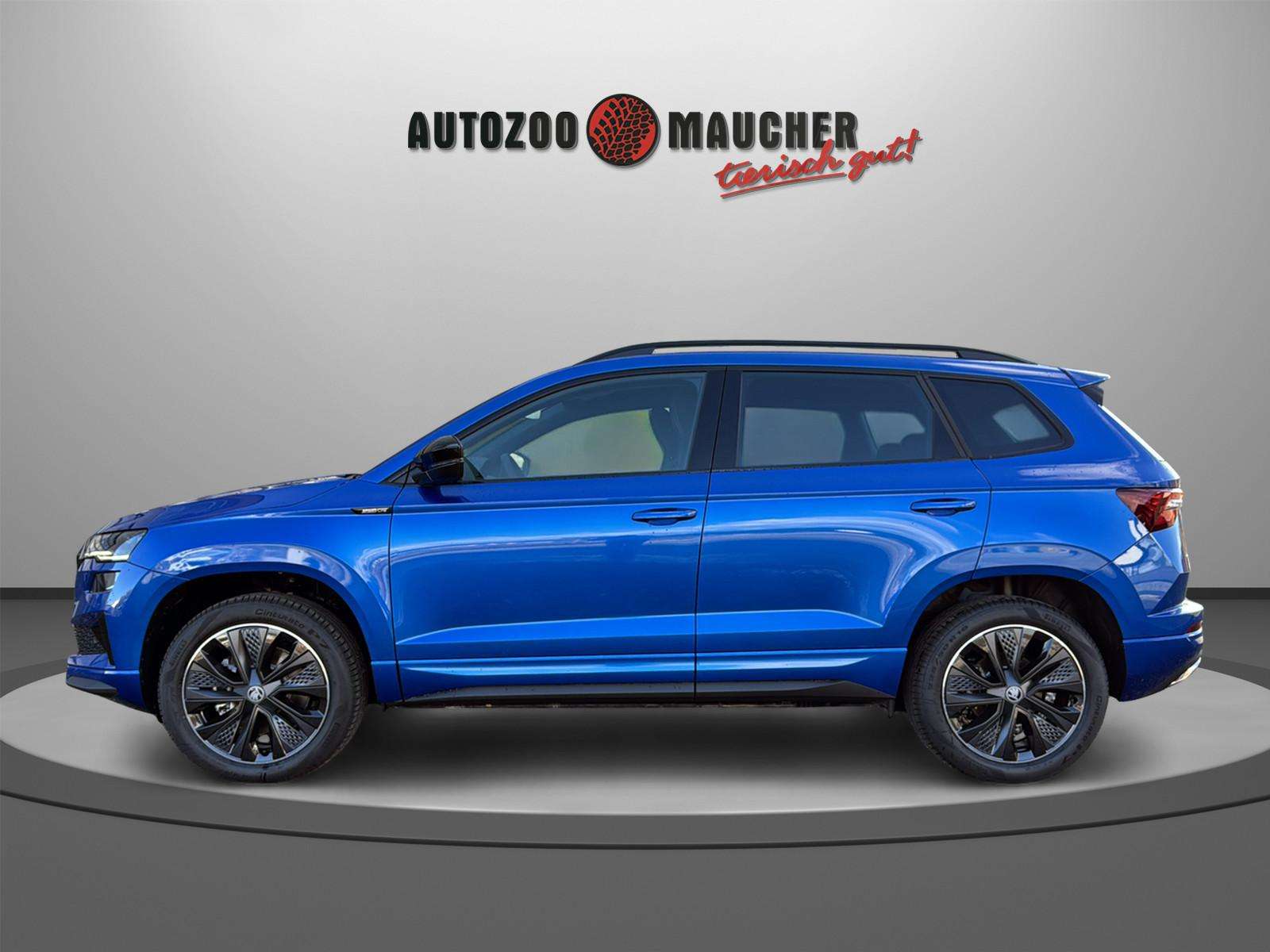 Fahrzeugbild eines Skoda Karoq