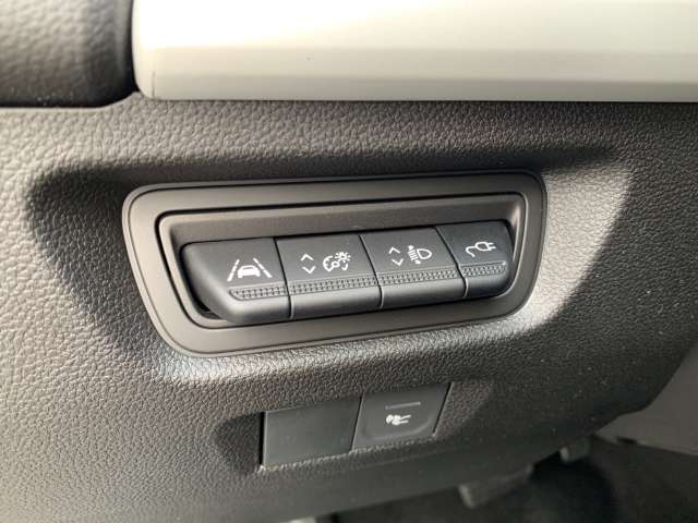 Fahrzeugbild eines Renault ZOE