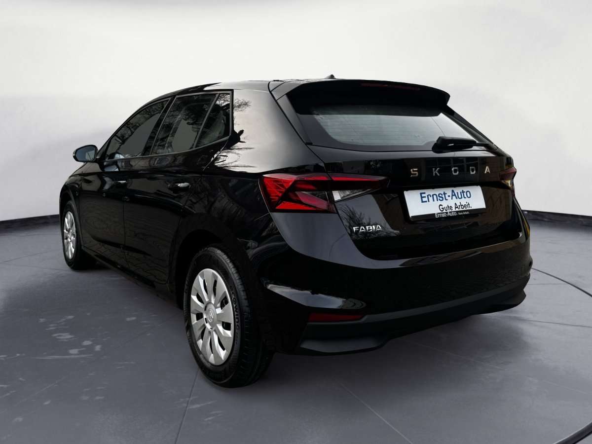 Fahrzeugbild eines Skoda Fabia