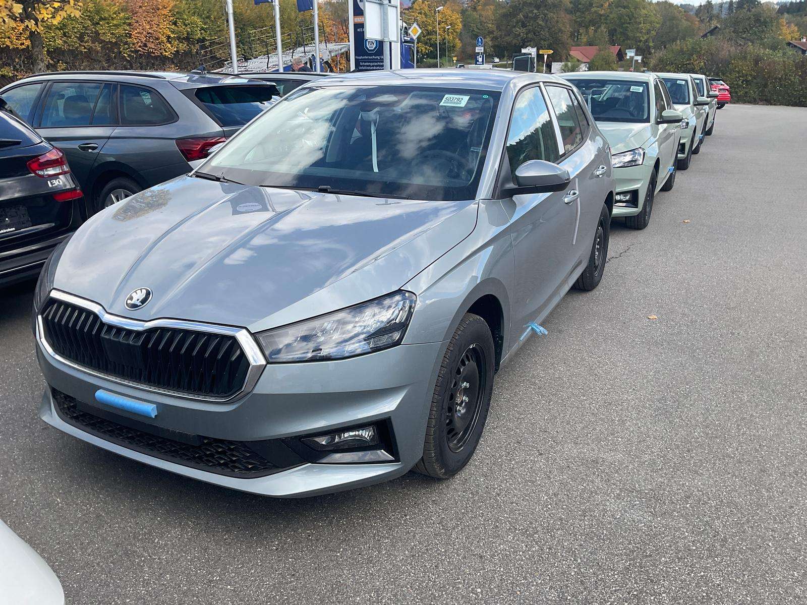 Fahrzeugbild eines Skoda Fabia