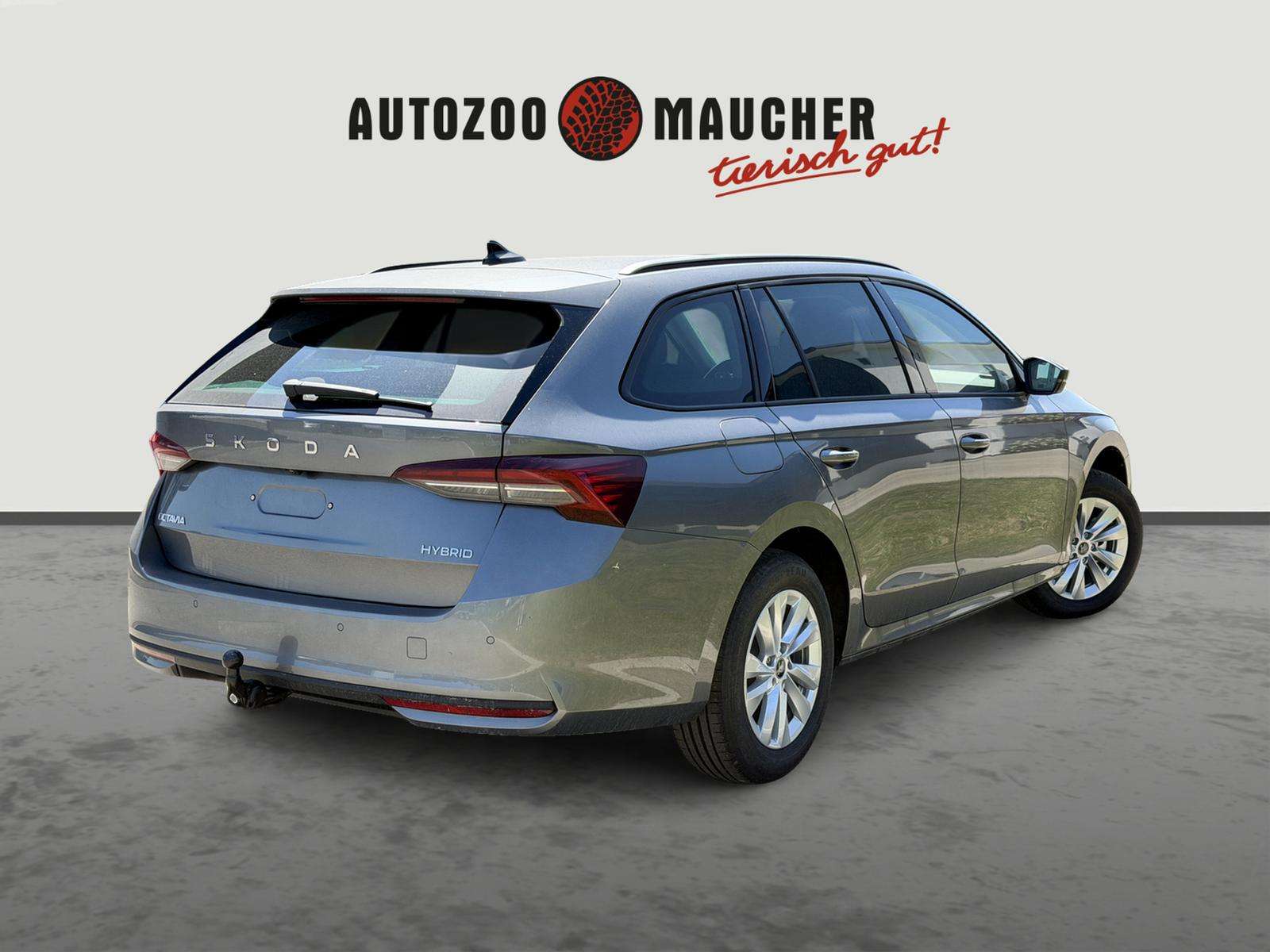 Fahrzeugbild eines Skoda Octavia