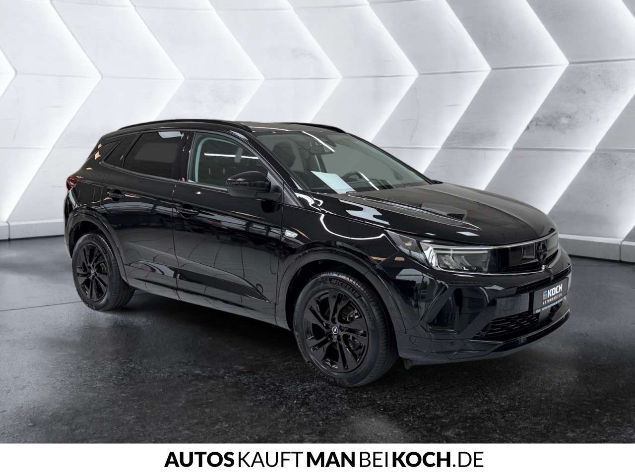 Fahrzeugbild eines Opel Grandland X