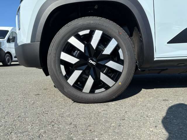 Fahrzeugbild eines Dacia Spring