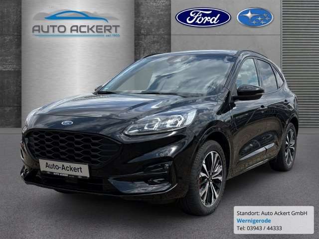 Fahrzeugbild eines Ford Kuga