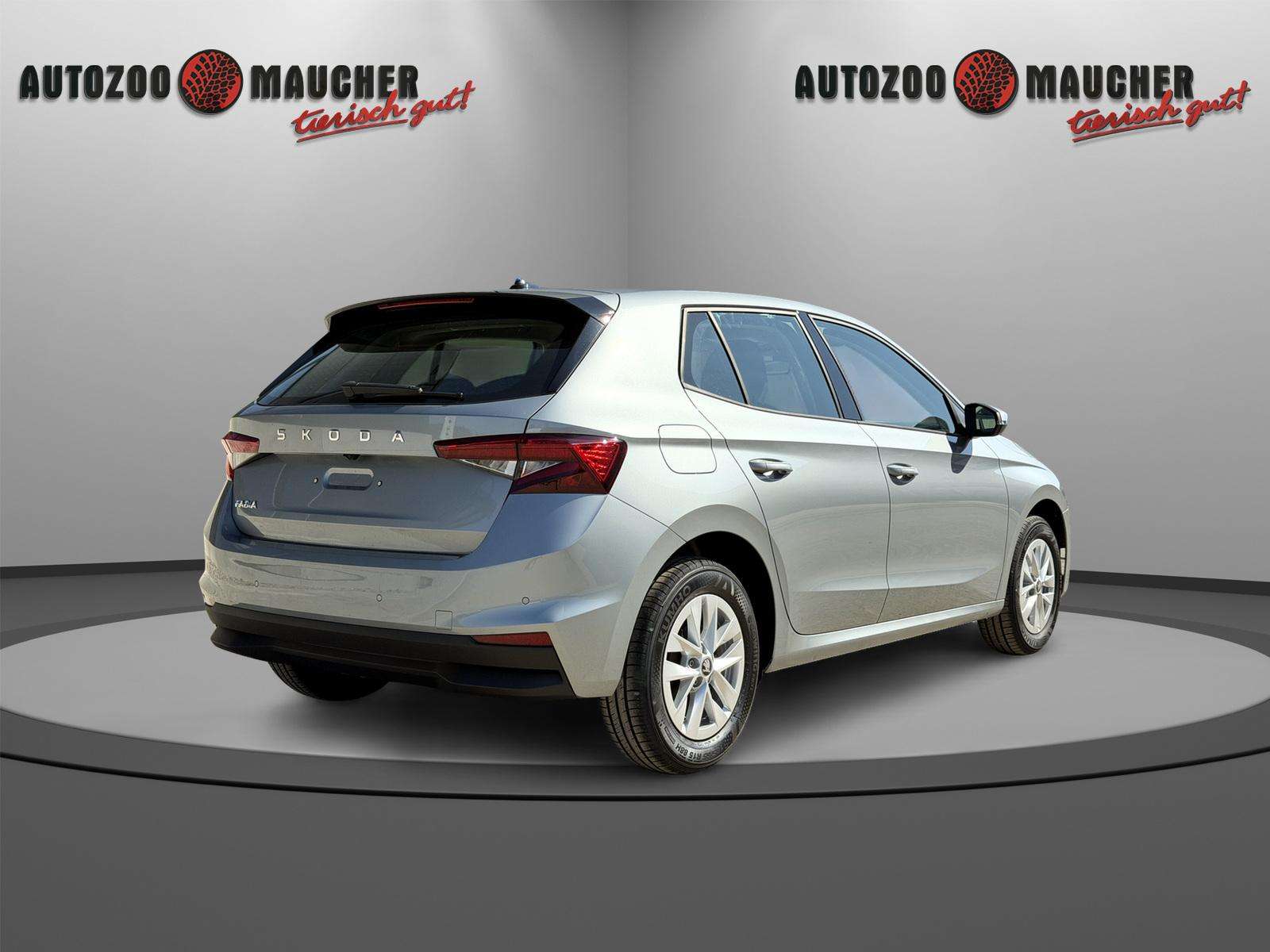 Fahrzeugbild eines Skoda Fabia