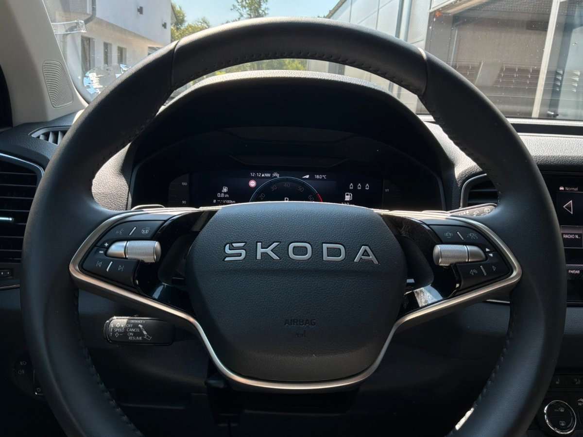 Fahrzeugbild eines Skoda Karoq