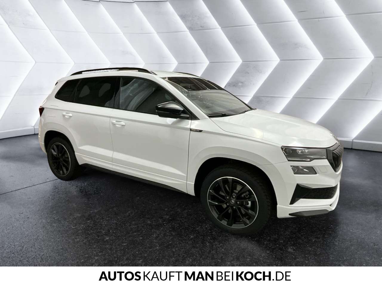 Fahrzeugbild eines Skoda Karoq