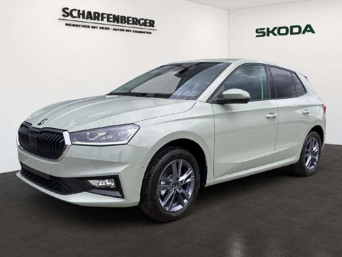 Fahrzeugbild eines Skoda Fabia