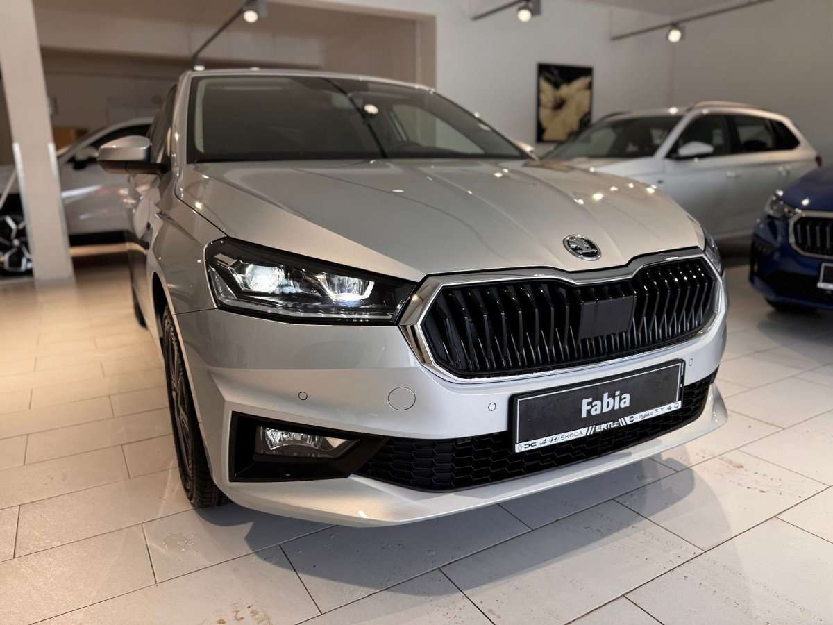 Fahrzeugbild eines Skoda Fabia