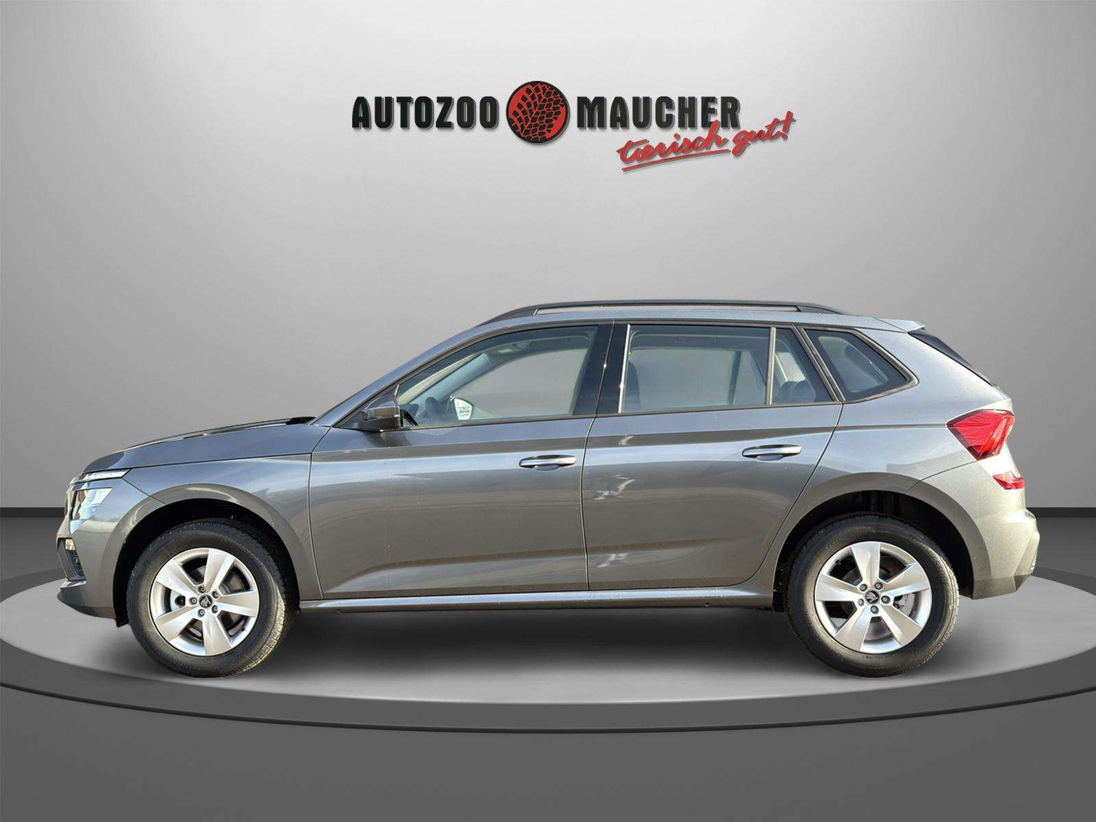 Fahrzeugbild eines Skoda Kamiq