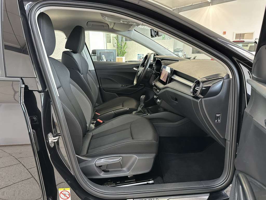 Fahrzeugbild eines Skoda Fabia