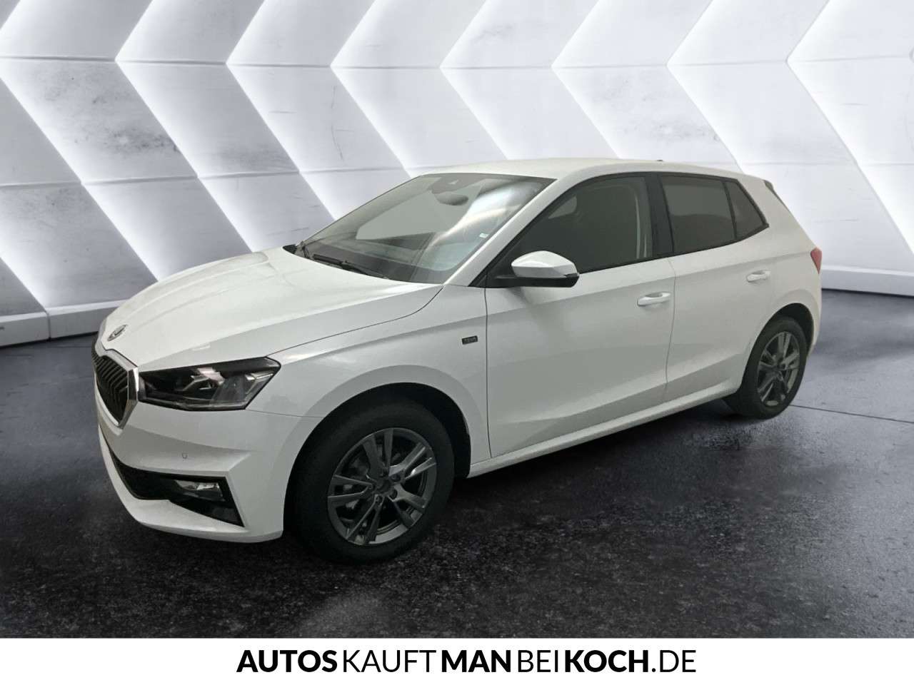 Fahrzeugbild eines Skoda Fabia