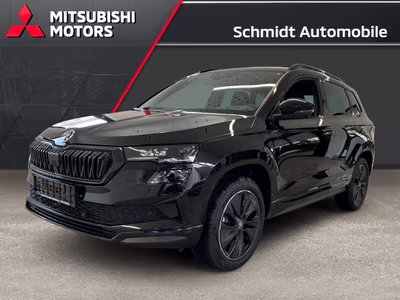 Bild Skoda Karoq