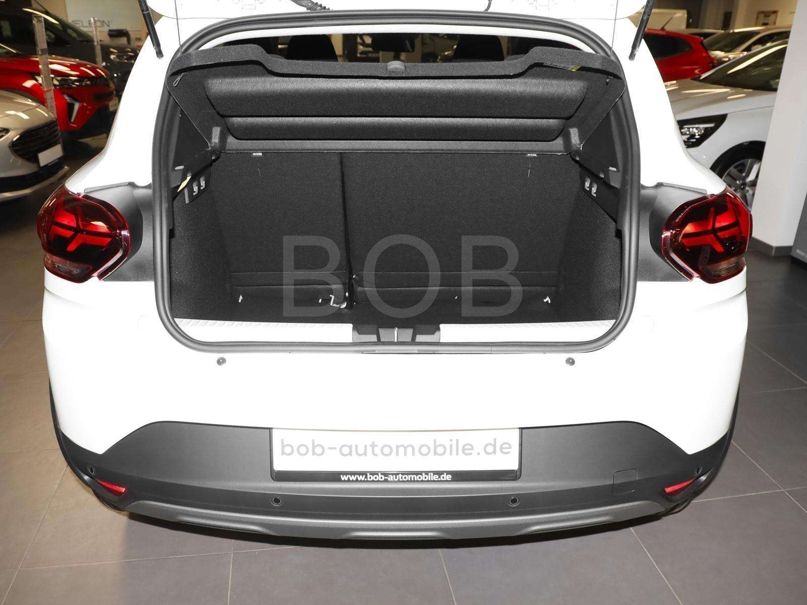 Fahrzeugbild eines Dacia Sandero