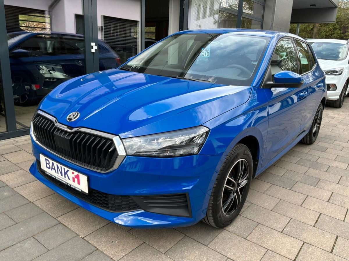 Fahrzeugbild eines Skoda Fabia