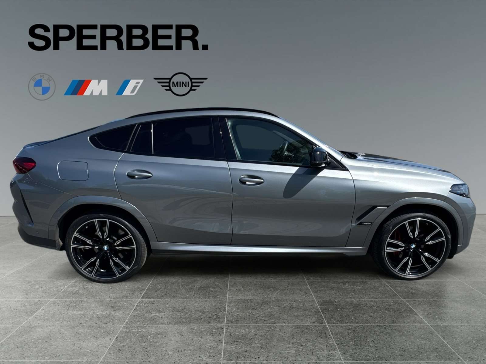Fahrzeugbild eines BMW X6