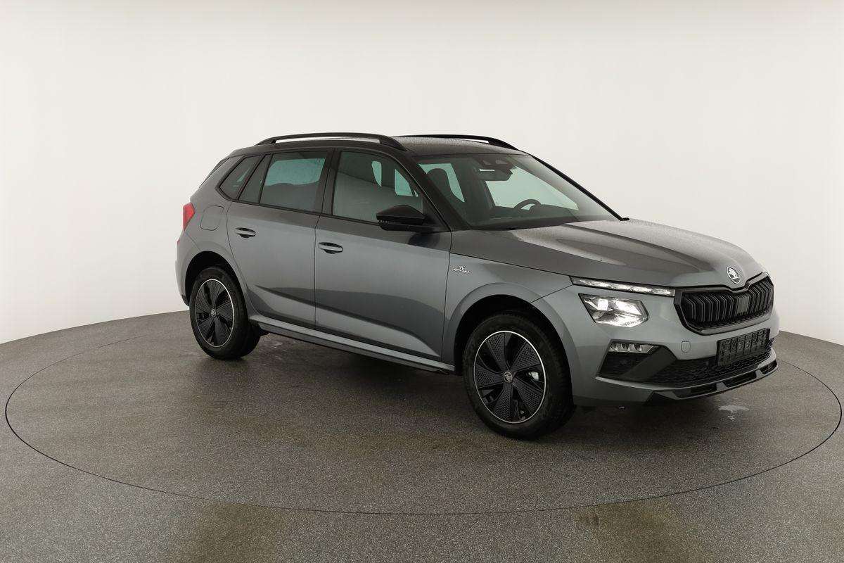 Fahrzeugbild eines Skoda Kamiq