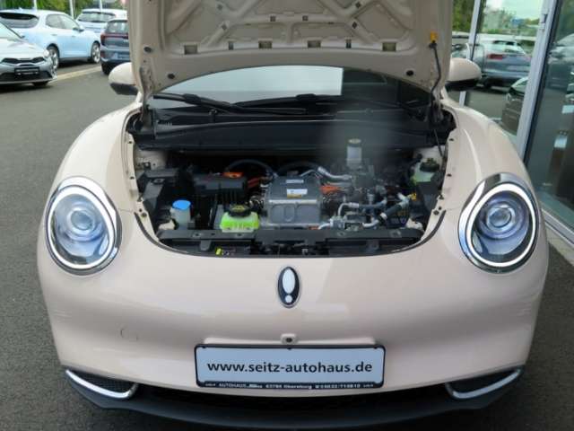 Fahrzeugbild eines GWM Ora 03