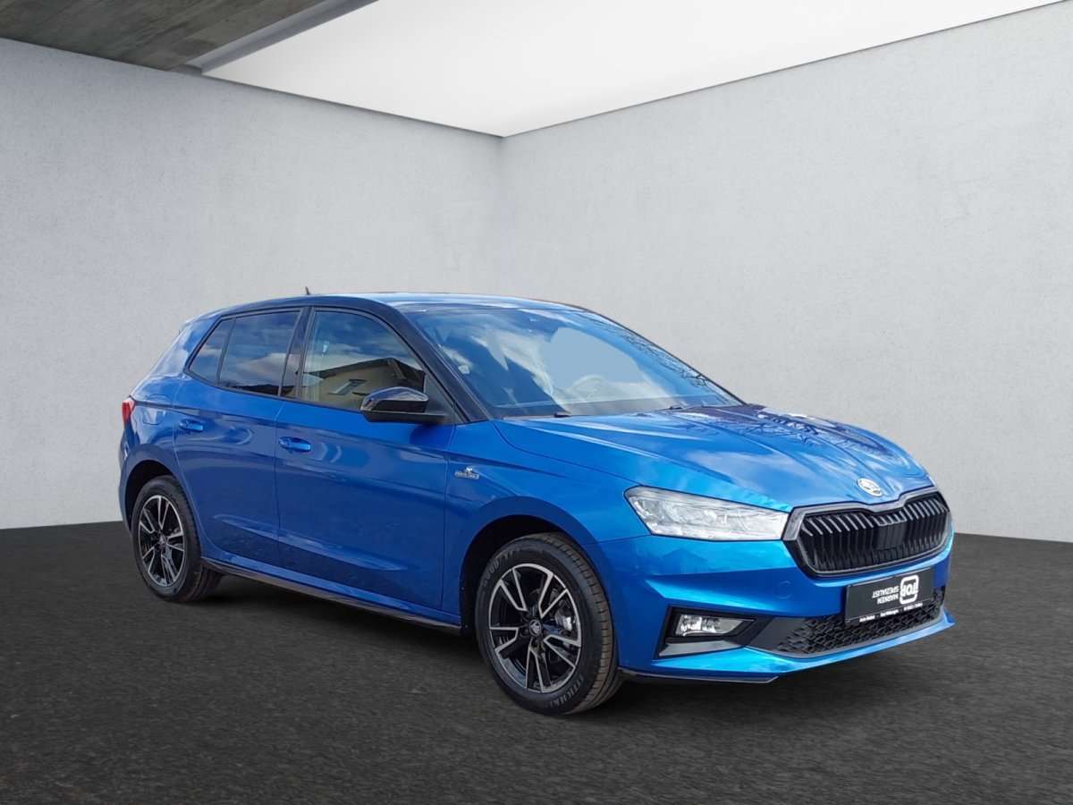 Fahrzeugbild eines Skoda Fabia