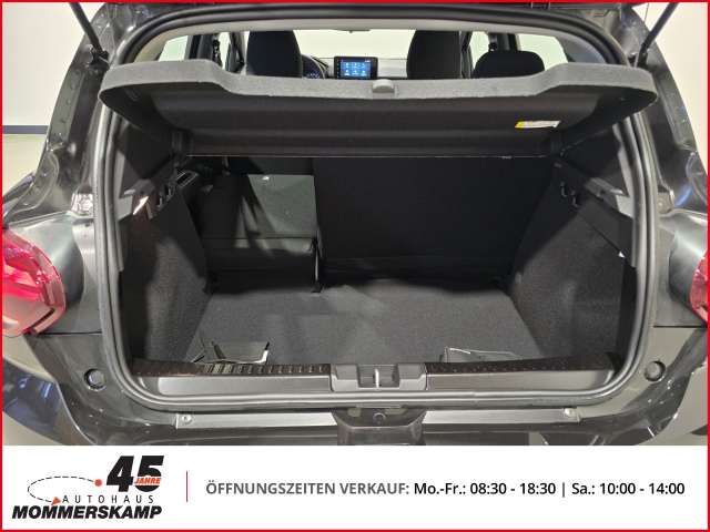 Fahrzeugbild eines Dacia Sandero