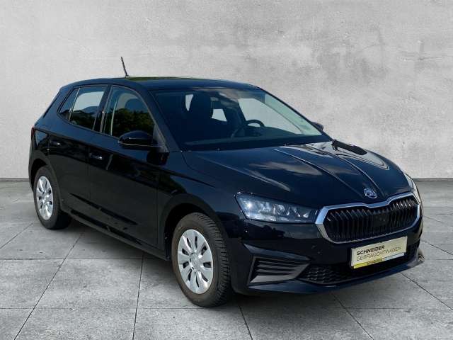 Fahrzeugbild eines Skoda Fabia