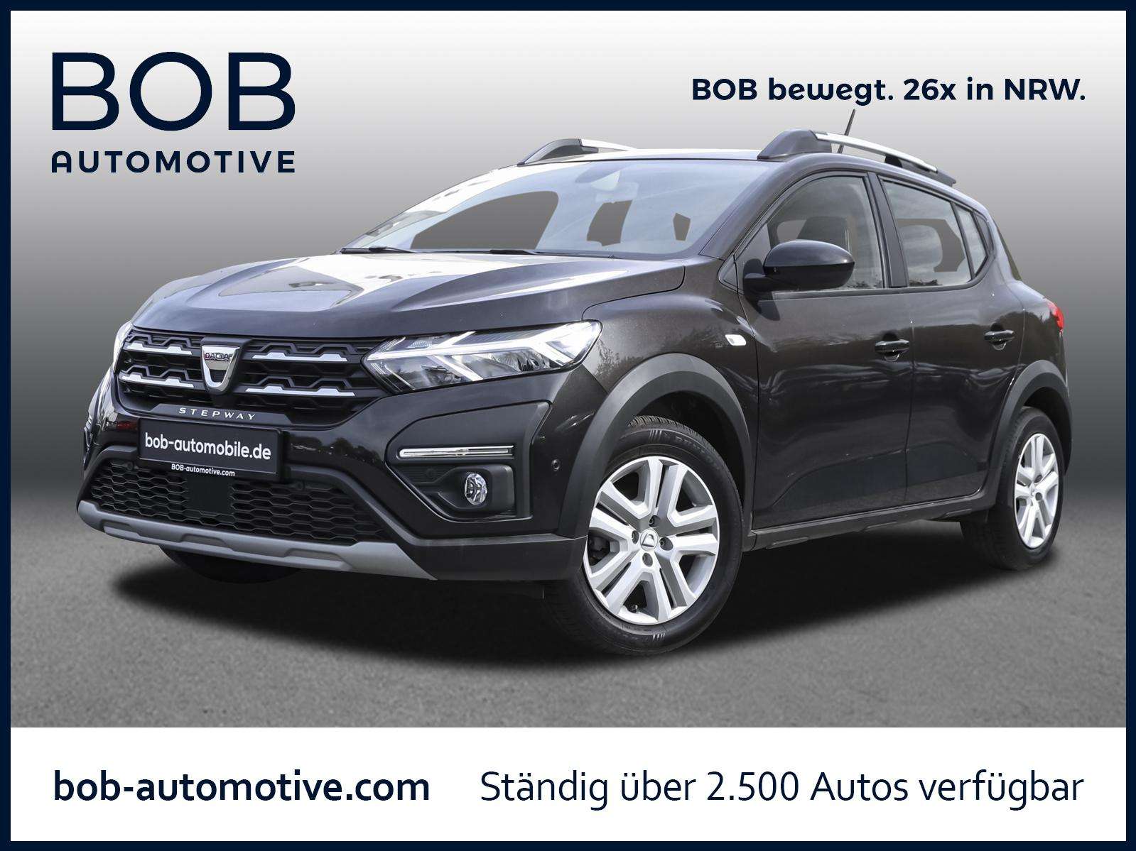 Fahrzeugbild eines Dacia Sandero