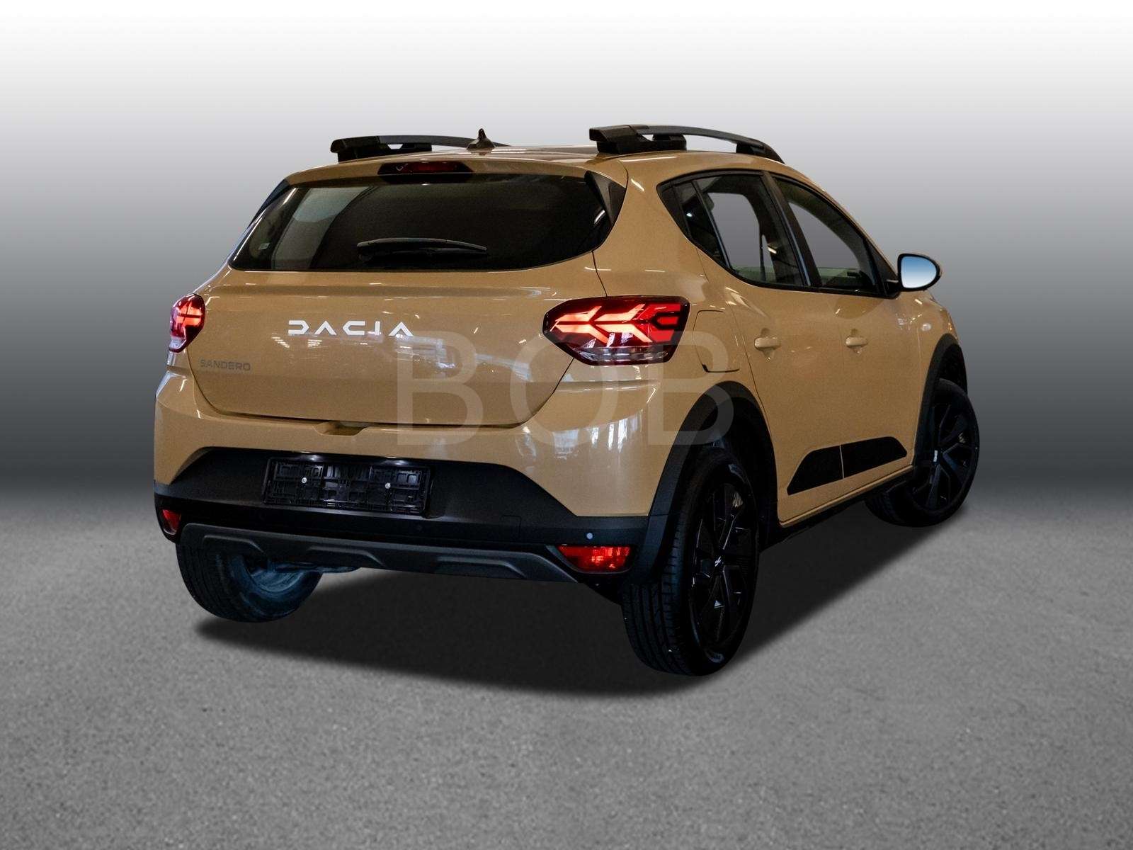 Fahrzeugbild eines Dacia Sandero