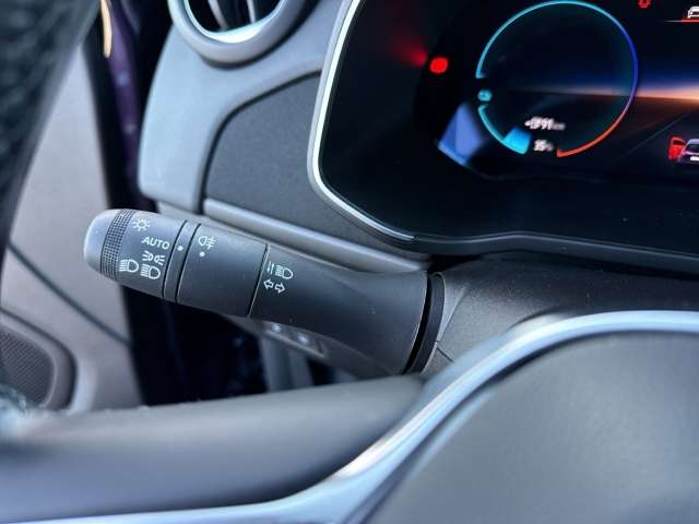 Fahrzeugbild eines Renault ZOE