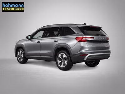 Bild Skoda Kodiaq