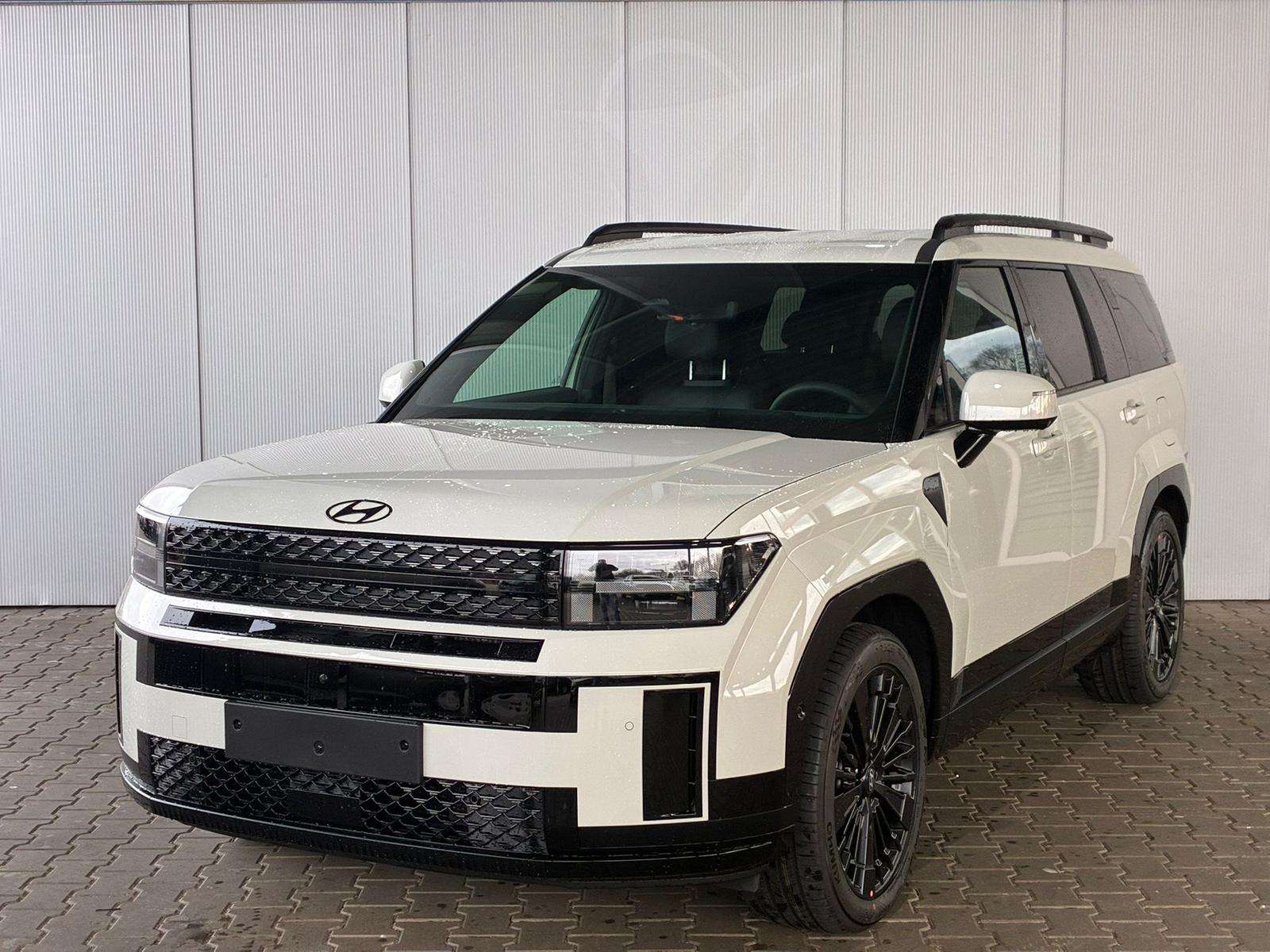 Fahrzeugbild eines Hyundai Santa Fe