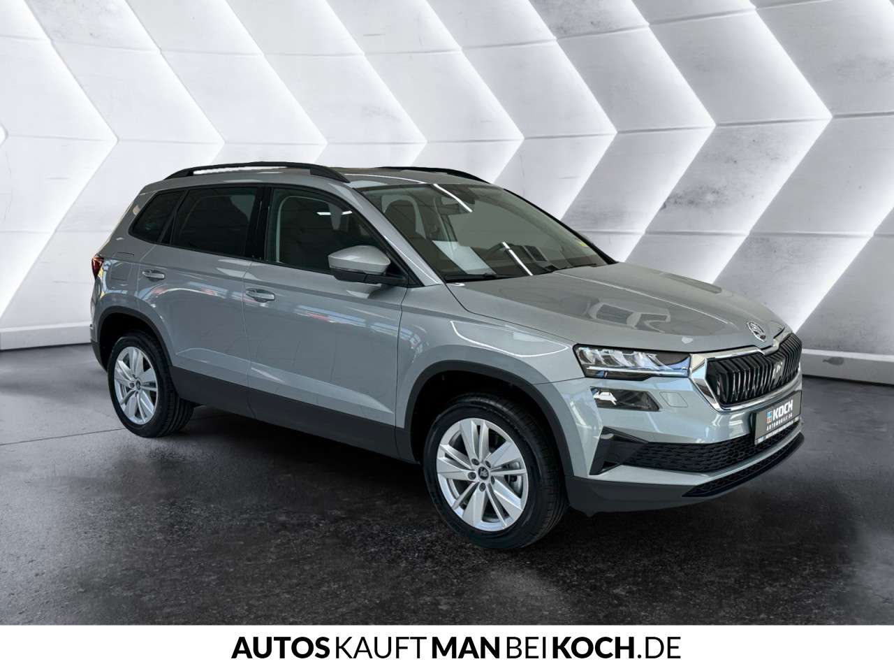 Fahrzeugbild eines Skoda Karoq