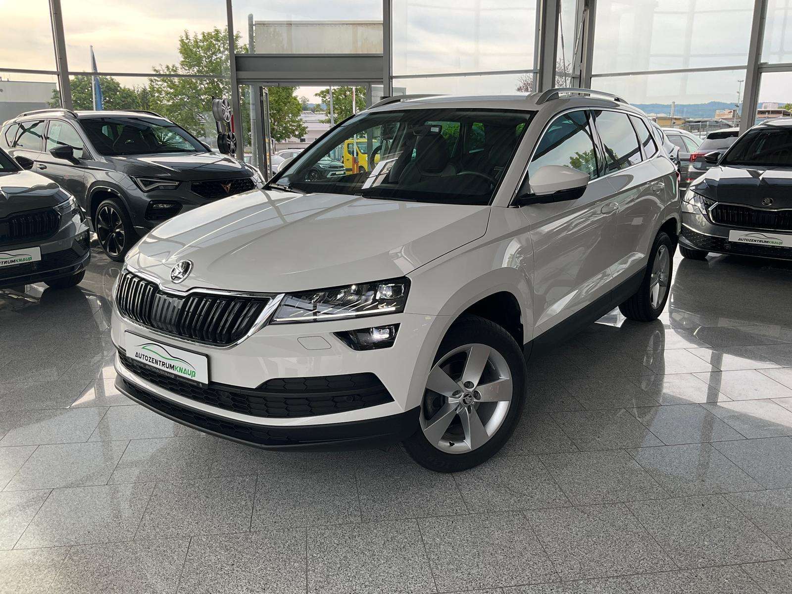 Fahrzeugbild eines Skoda Karoq