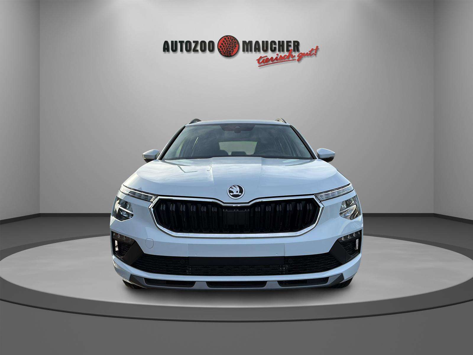 Fahrzeugbild eines Skoda Kamiq