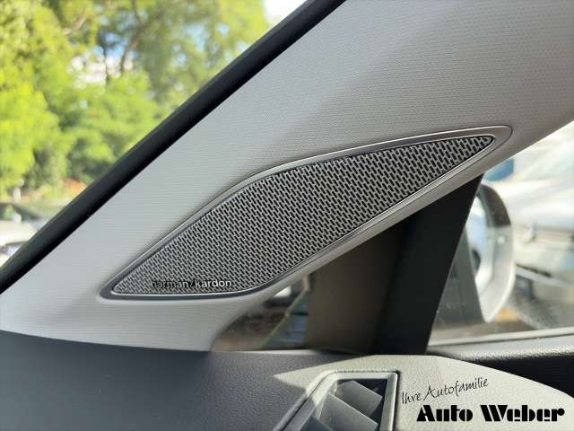 Fahrzeugbild eines Volkswagen Golf