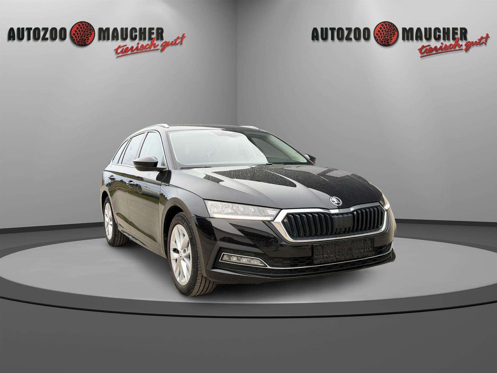 Fahrzeugbild eines Skoda Octavia