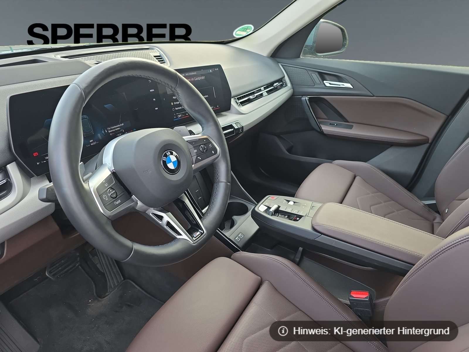 Fahrzeugbild eines BMW X1
