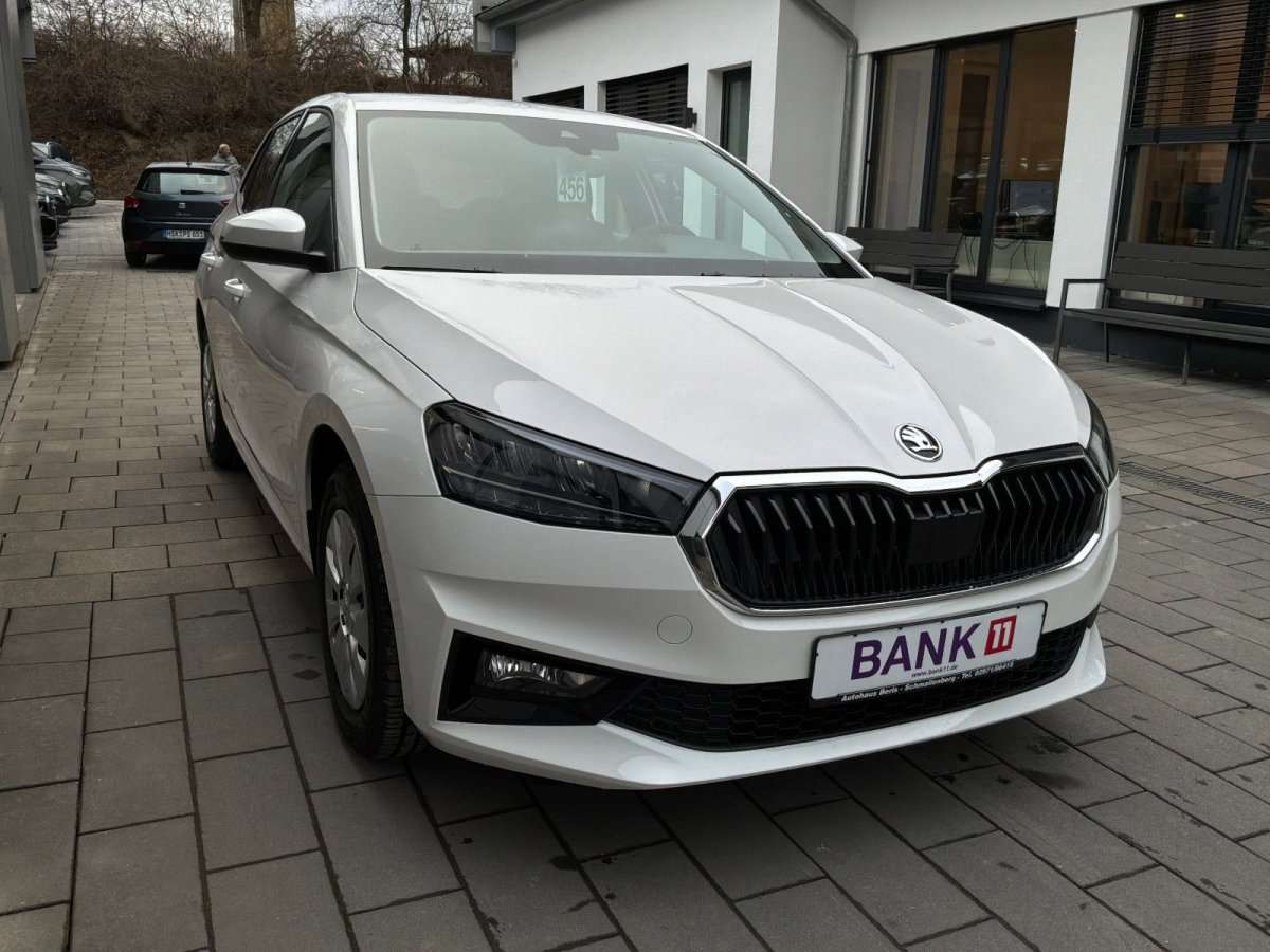 Fahrzeugbild eines Skoda Fabia