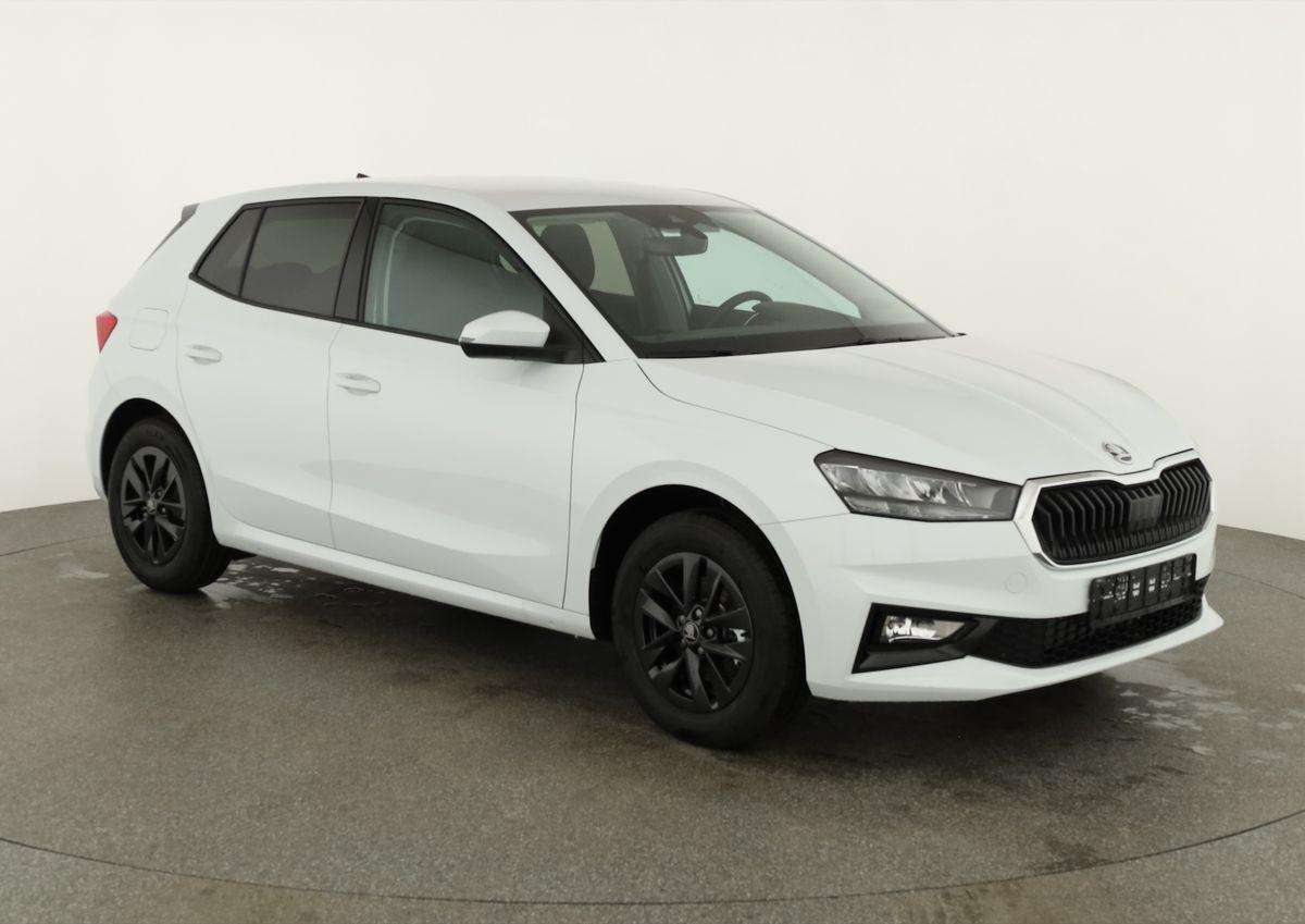 Fahrzeugbild eines Skoda Fabia