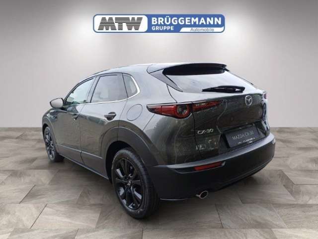 Fahrzeugbild eines Mazda CX-30